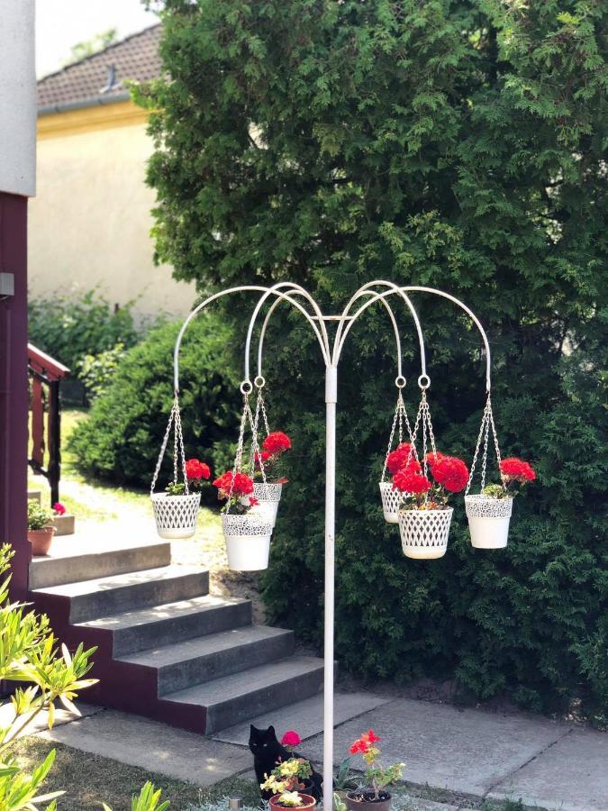 Major Csalad Apartman Hévíz Екстериор снимка